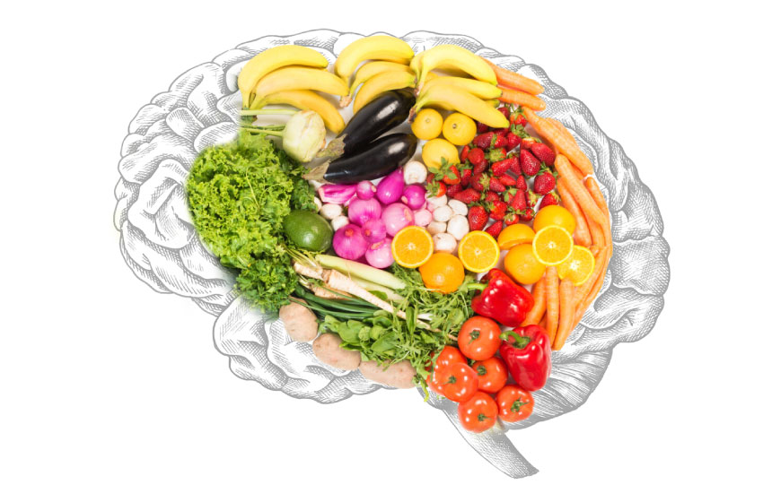La Importancia de la Nutrición para el Cerebro