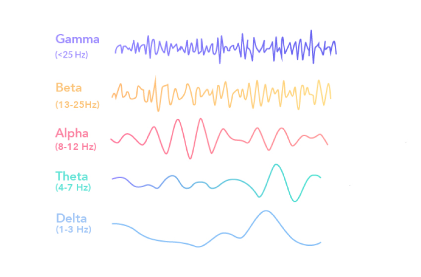 ondas cerebrales Delta, Theta, Alpha, Beta, Gamma neurologic